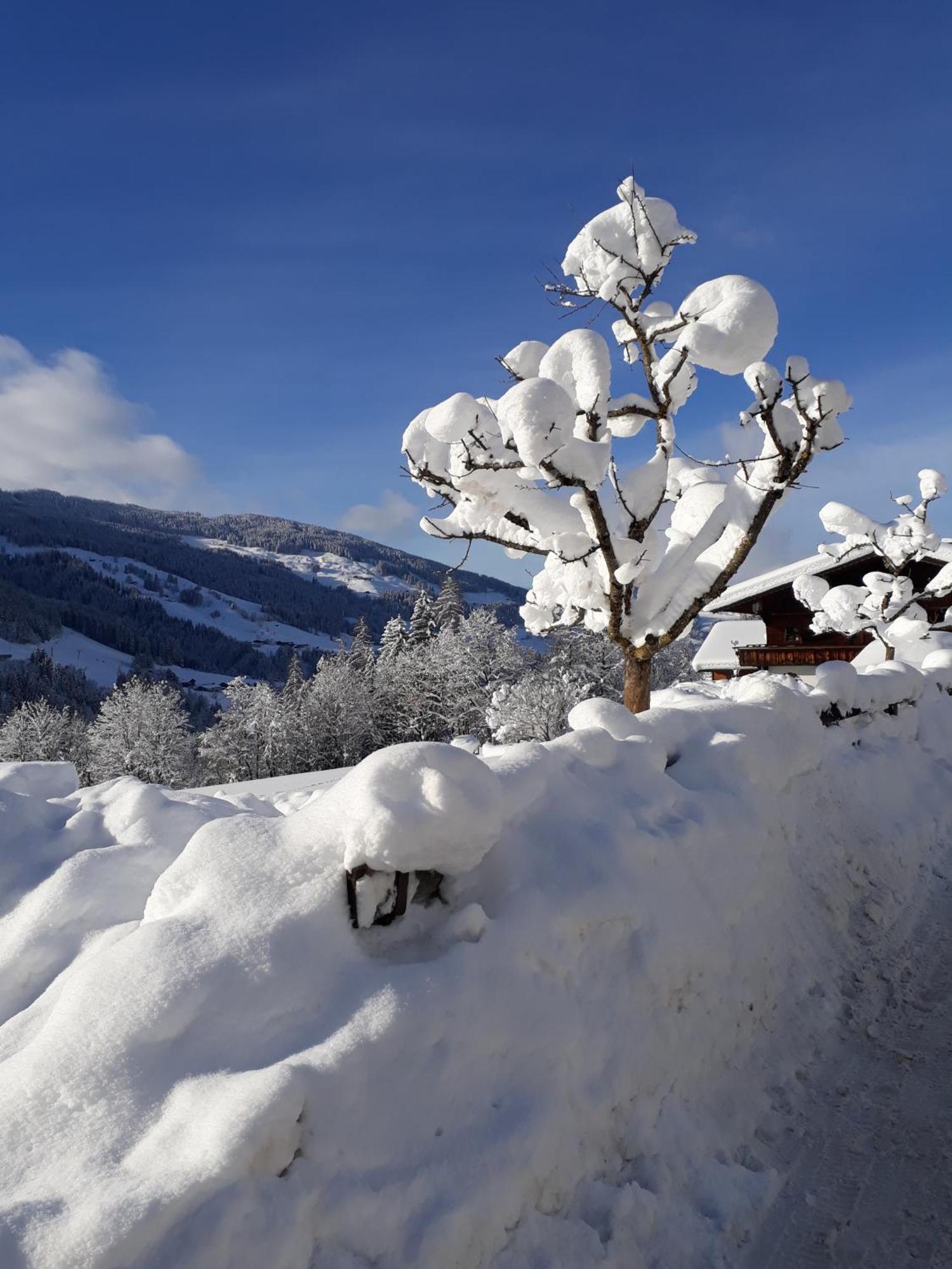 Haus Gmahblick Ferienwonungen Hotel Alpbach Kültér fotó